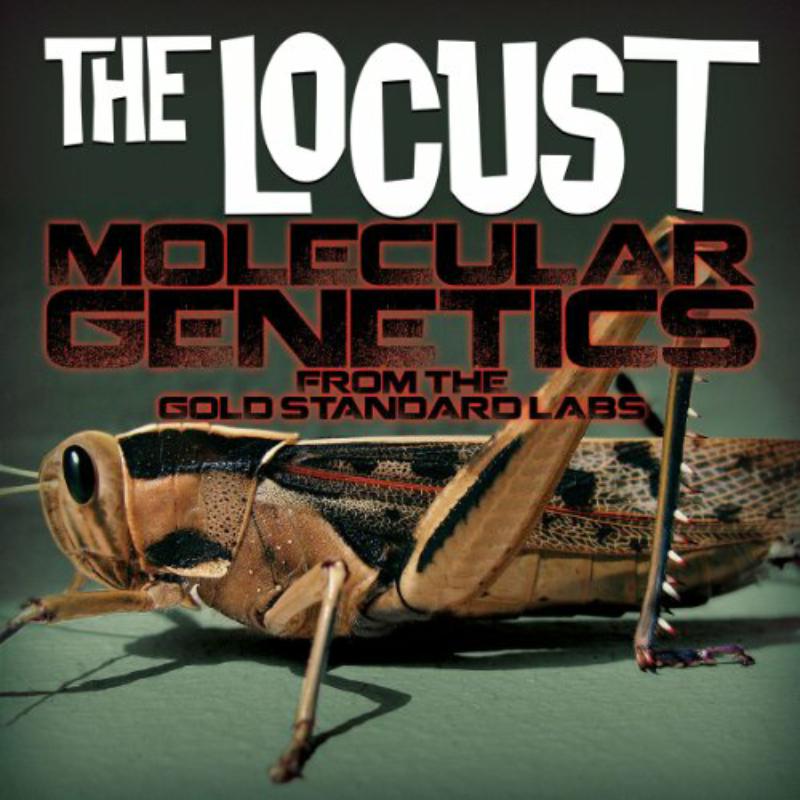 Picture of Locust - Molecular Genetics From The Go