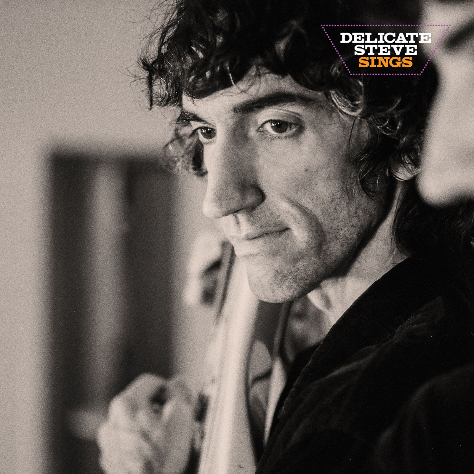 Picture of Delicate Steve - Delicate Steve Sings