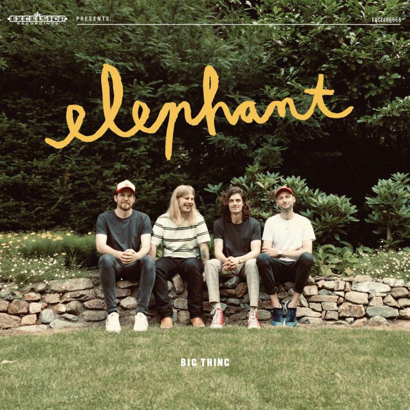 Picture of Elephant - Big Thing