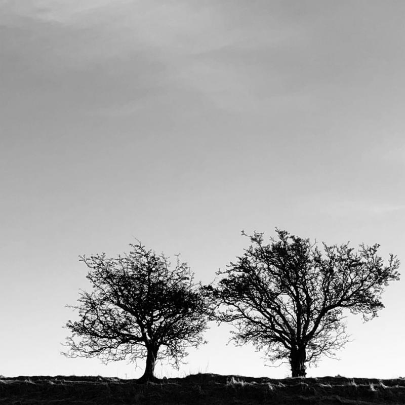 Picture of Jon Allen - A Heightened Sense of Everything