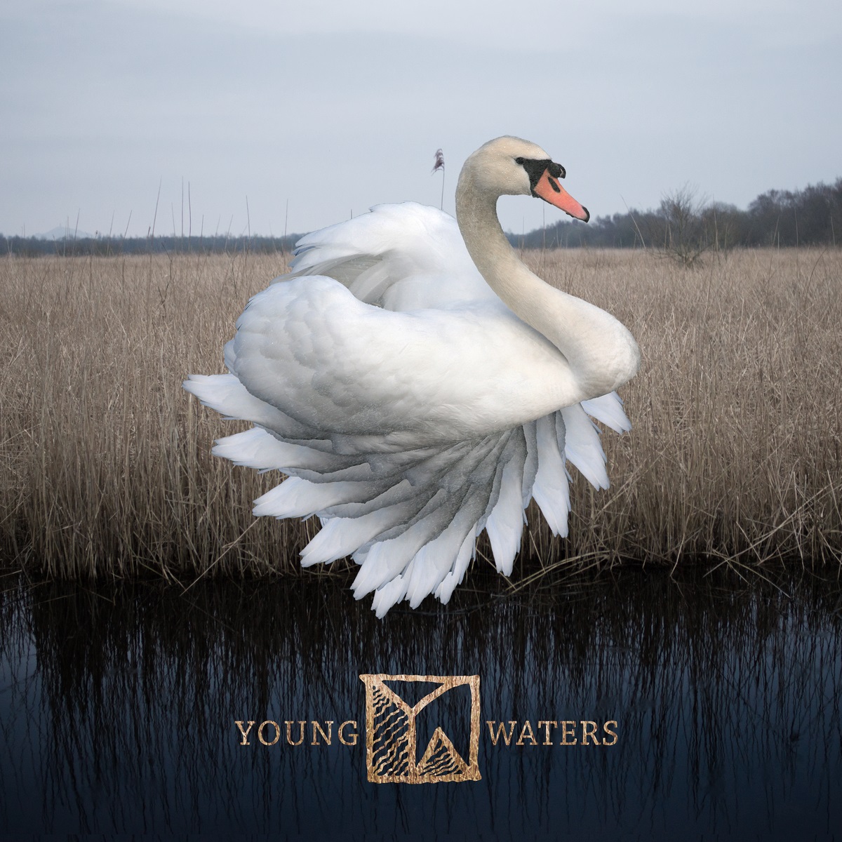 Picture of Young Waters - Young Waters