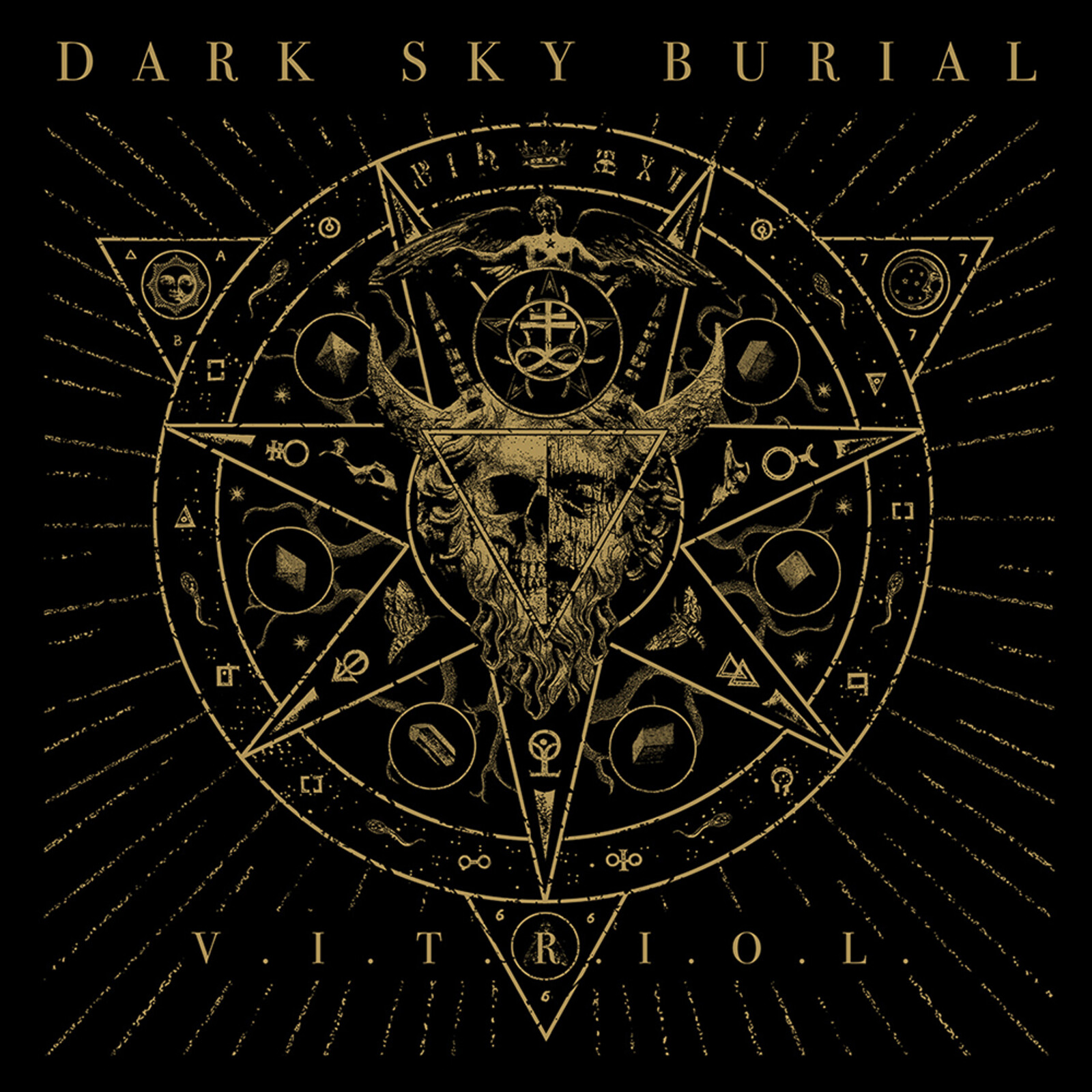 Picture of Dark Sky Burial - V.I.T.R.I.O.L.