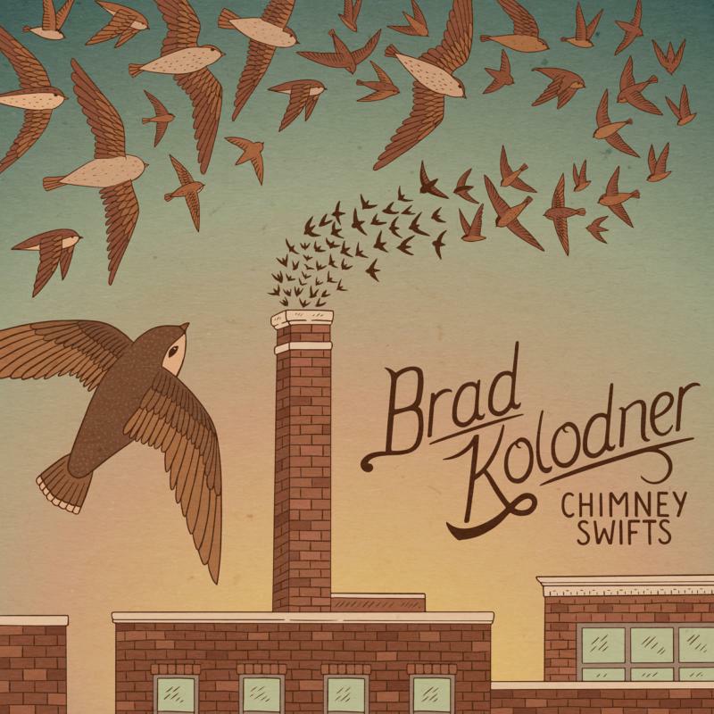 Picture of Brad Kolodner - Chimney Swifts