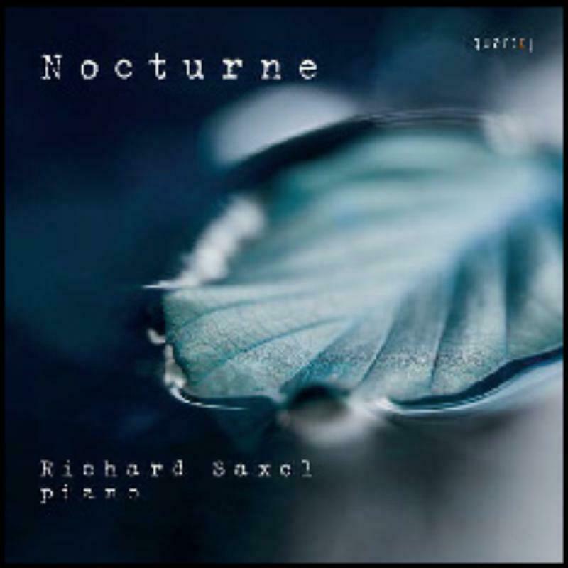 Picture of Richard Saxel - Nocturne