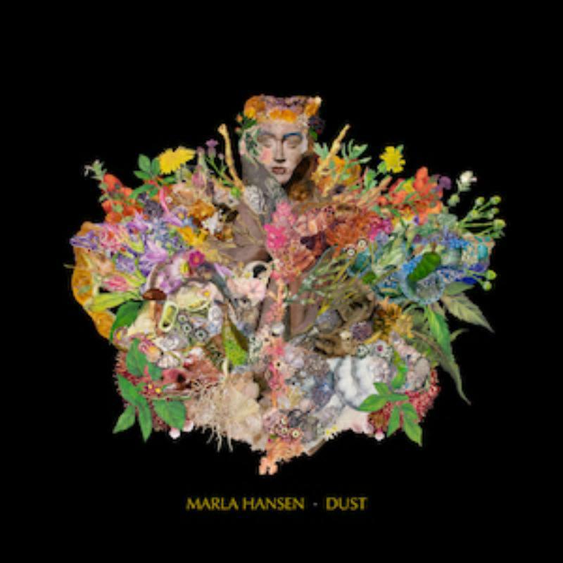 Picture of Marla Hansen - Dust
