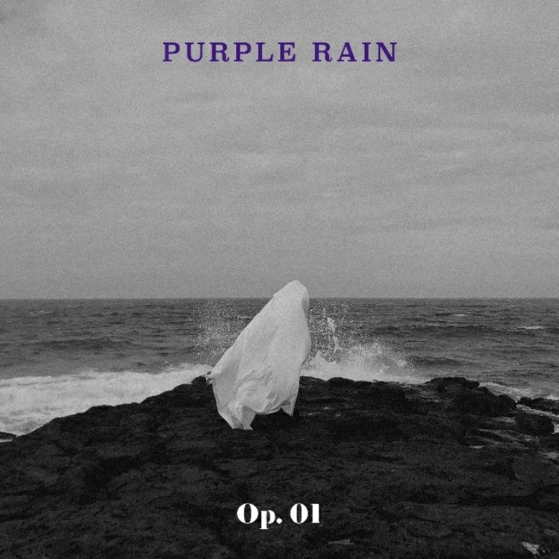 Picture of Purple Rain - Op. 01