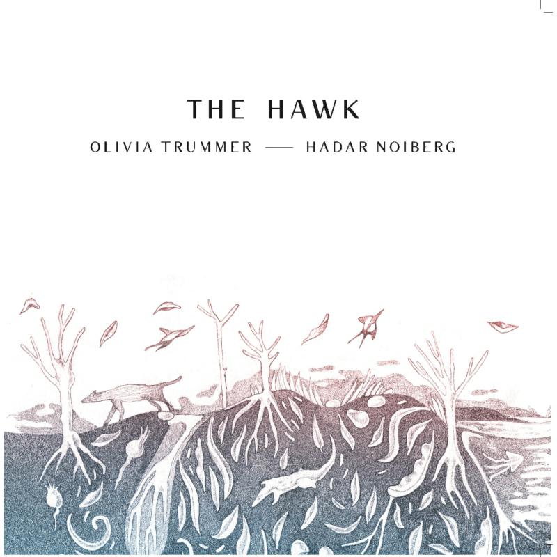 Picture of Olivia Trummer & Hadar Noiberg - The Hawk
