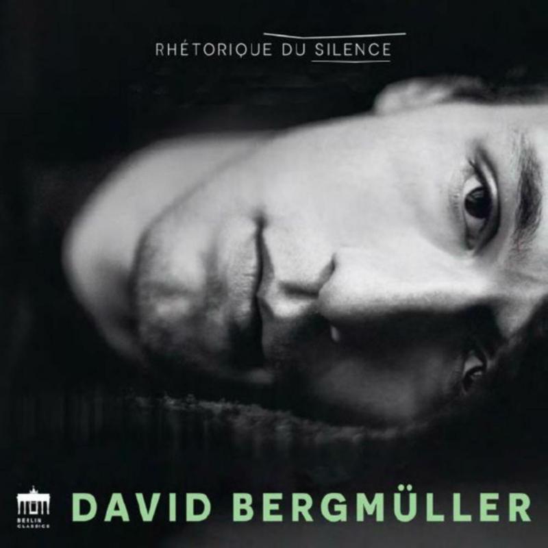 Picture of David Bergmuller - Rhetorique du Silence