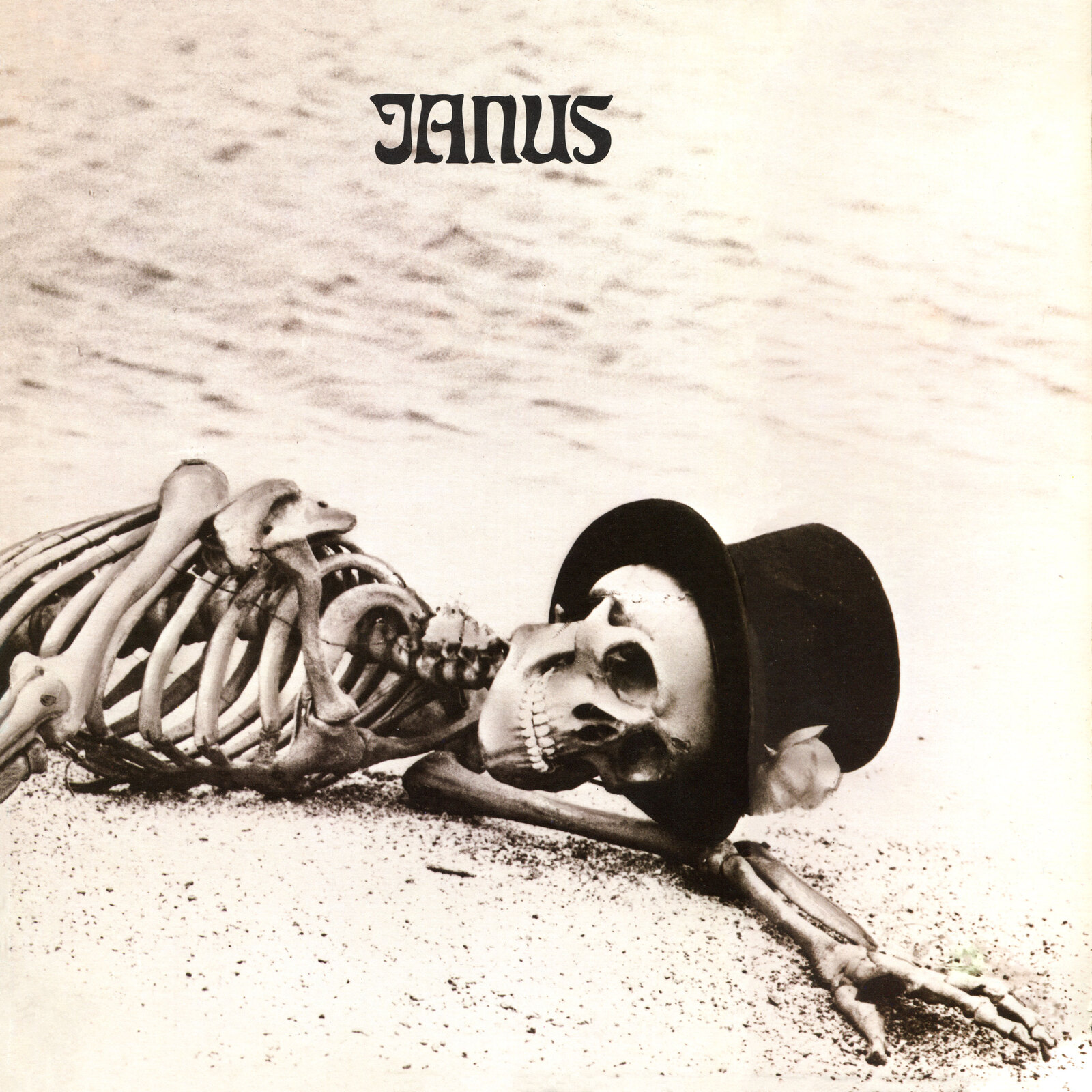 Picture of Janus - Gravedigger