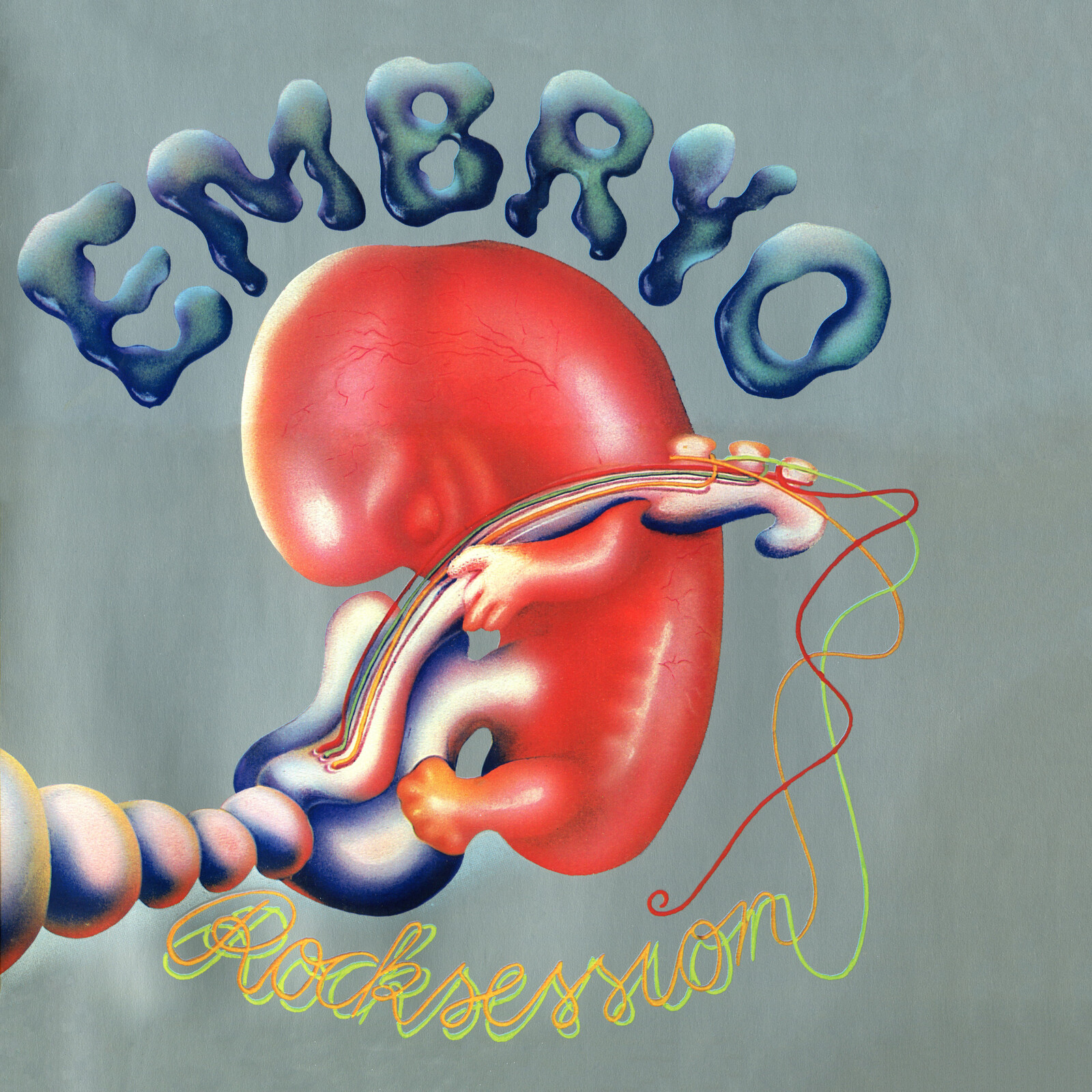 Picture of Embryo - Rocksession