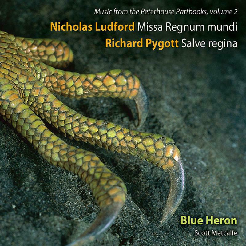 Picture of Blue Heron Choir/Metcalfe - Ludford:Missa Regnum Mundi