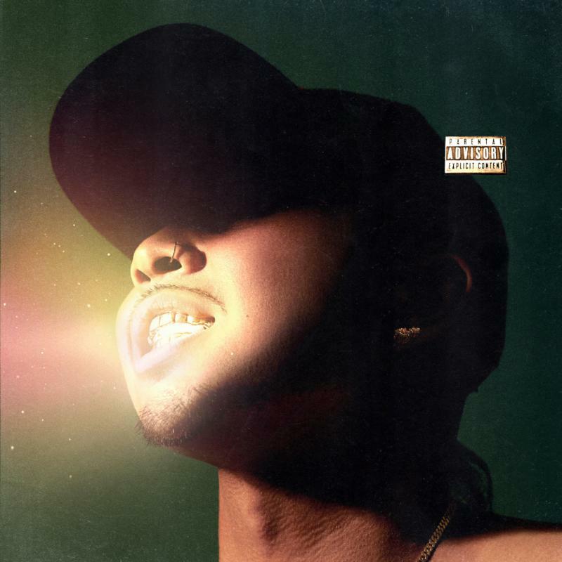 Picture of P-LO - SHINE