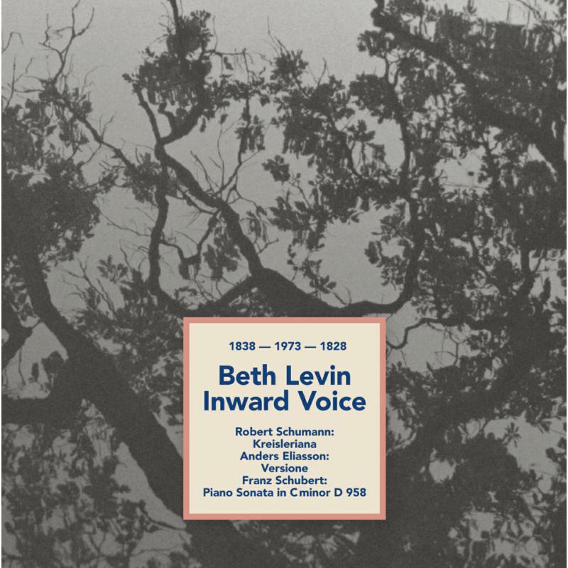 Picture of BETH LEVIN - Levin: Inward Voice
