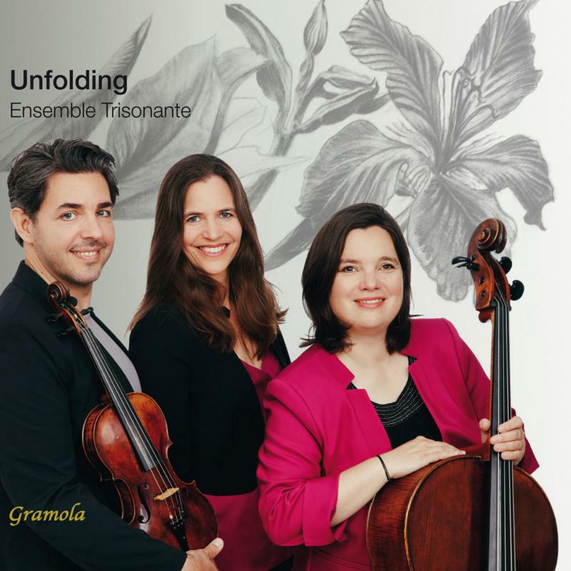 Picture of ENSEMBLE TRISONANTE - Unfolding