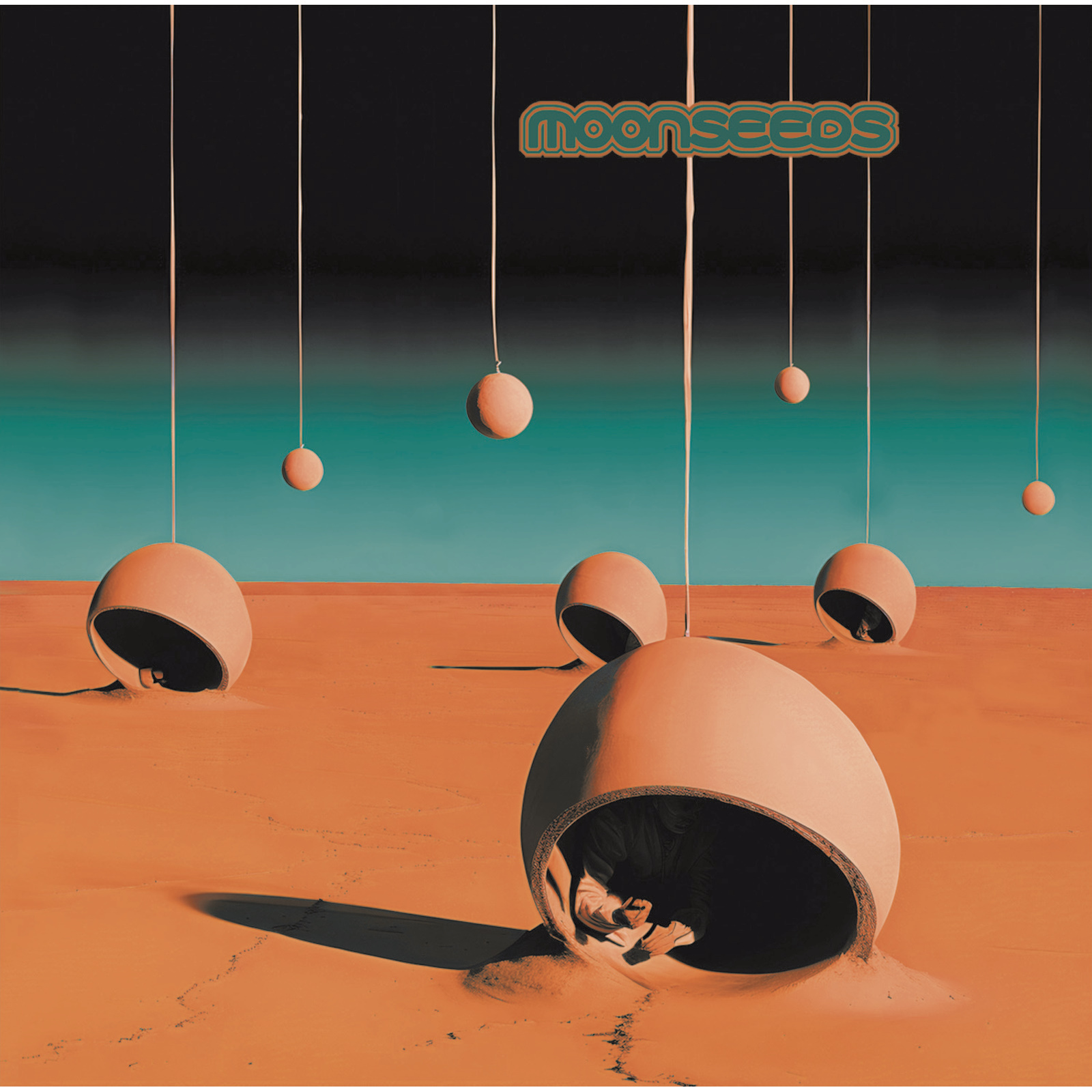 Picture of Moonseeds - Moonseeds