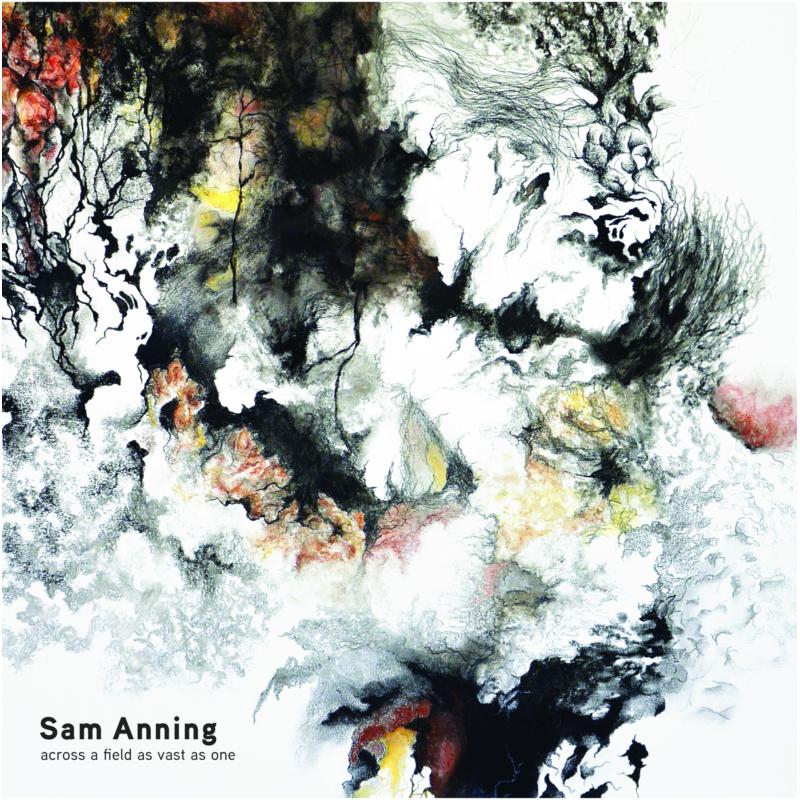 Picture of Sam Anning - Across a Field as Vast as One