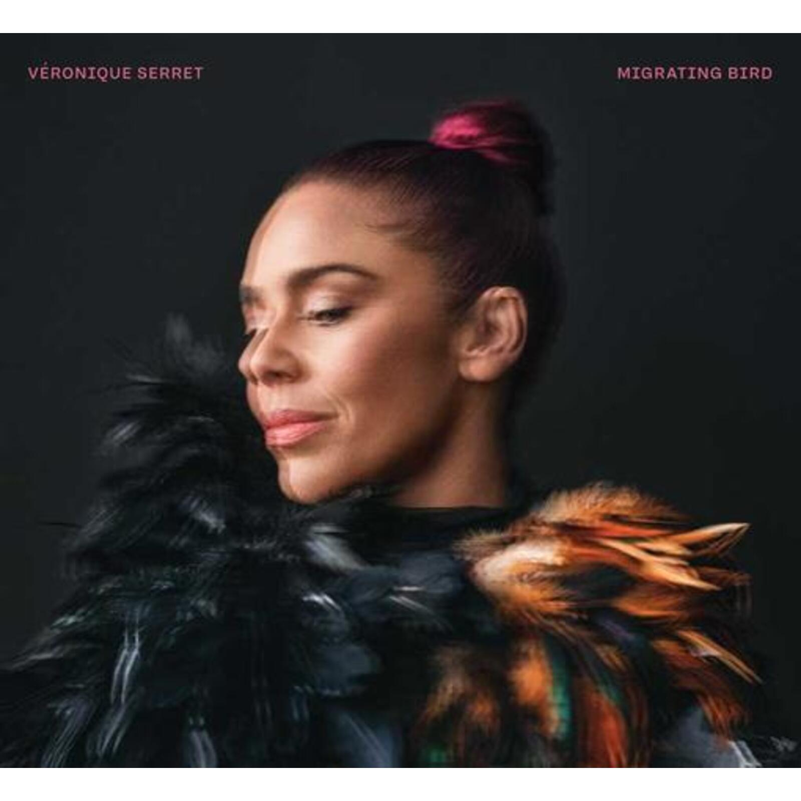 Picture of Veronique Serret - Migrating Bird