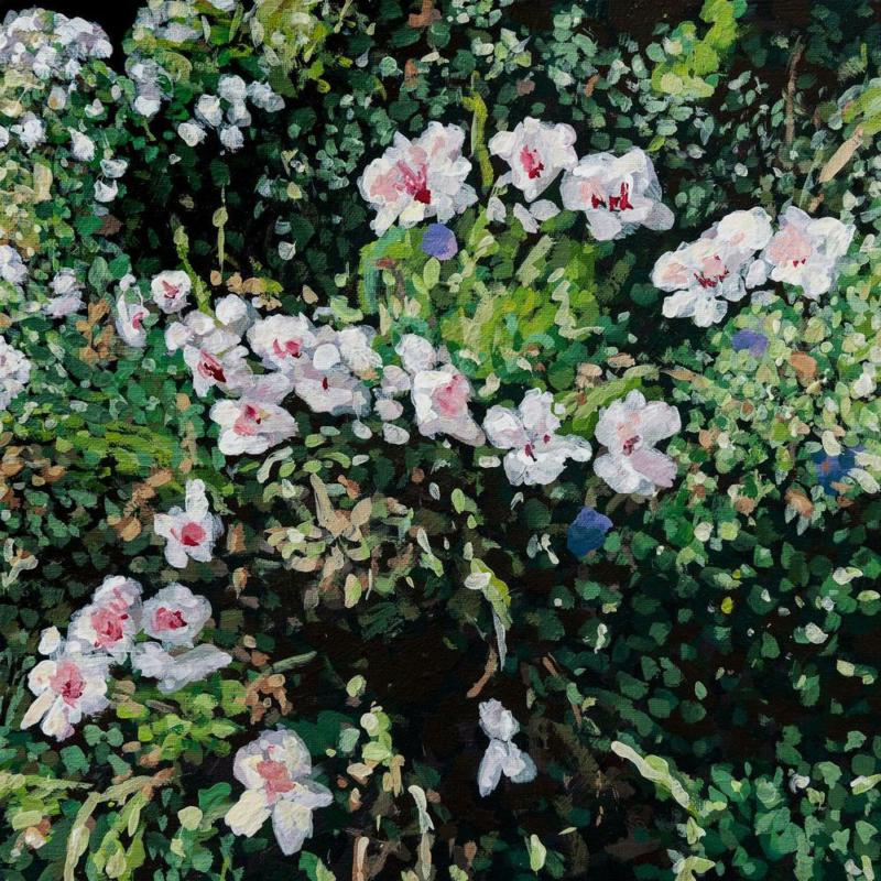 Picture of Jess Locke - Don't Ask Yourself Why