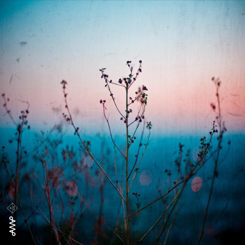 Picture of Quiet Quartet - Quiet Quartet