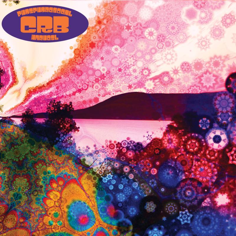 Picture of Chris Robinson Brotherh - Phosphorescent Harvest