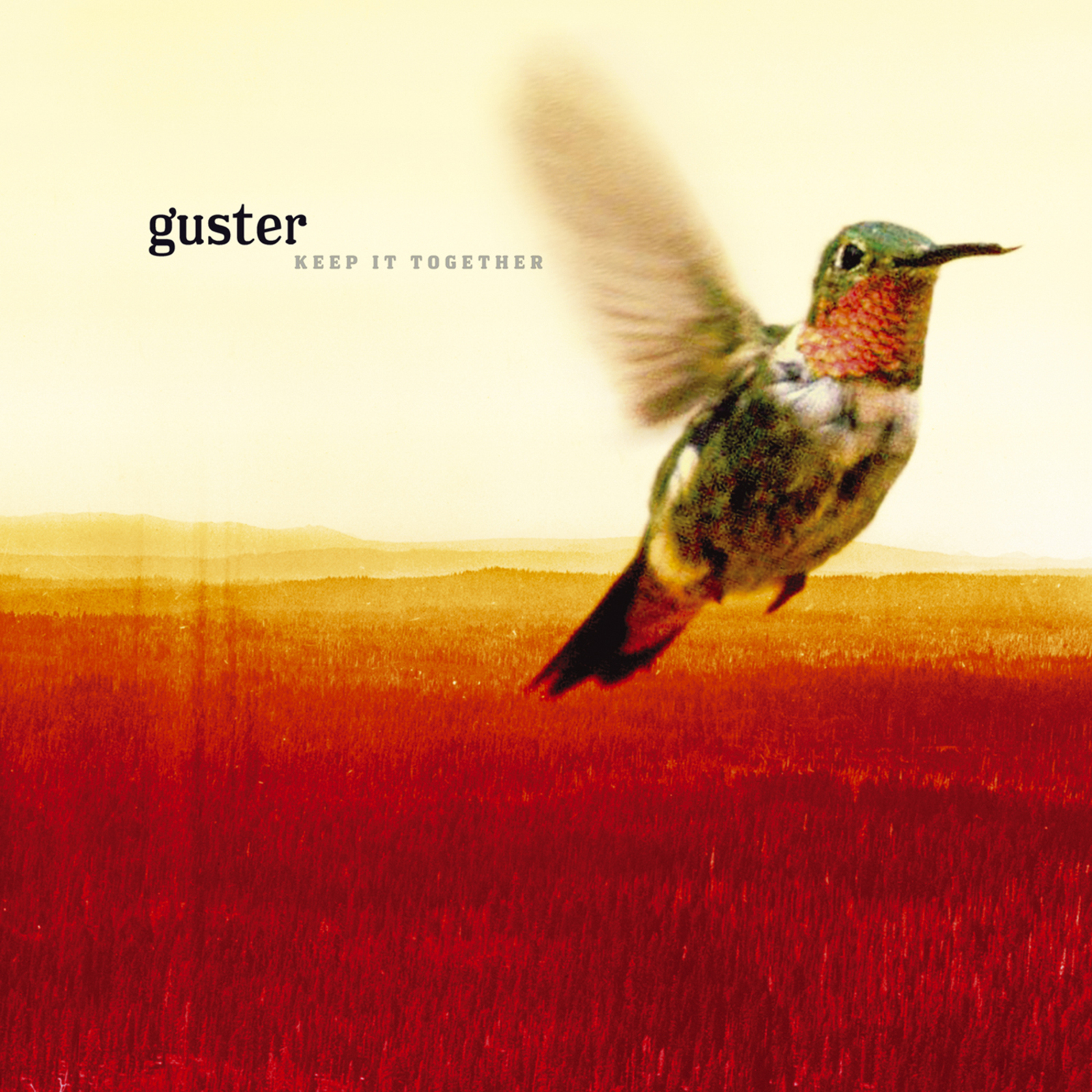 Picture of Guster - Keep It Together