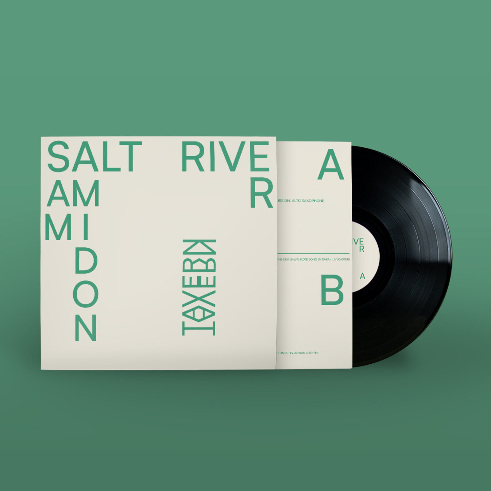Picture of Sam Amidon - Salt River