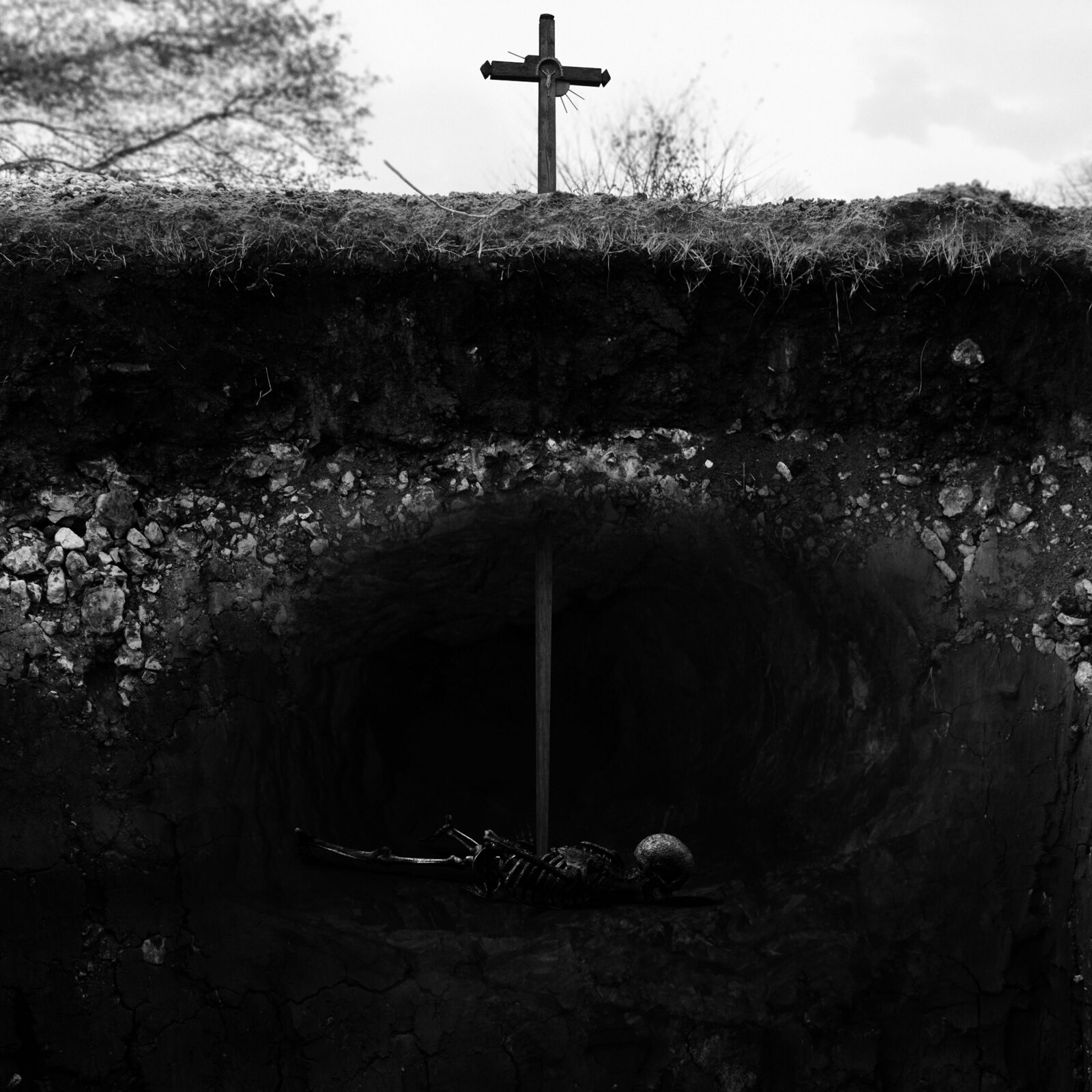 Picture of Caged - From Roving About the Earth