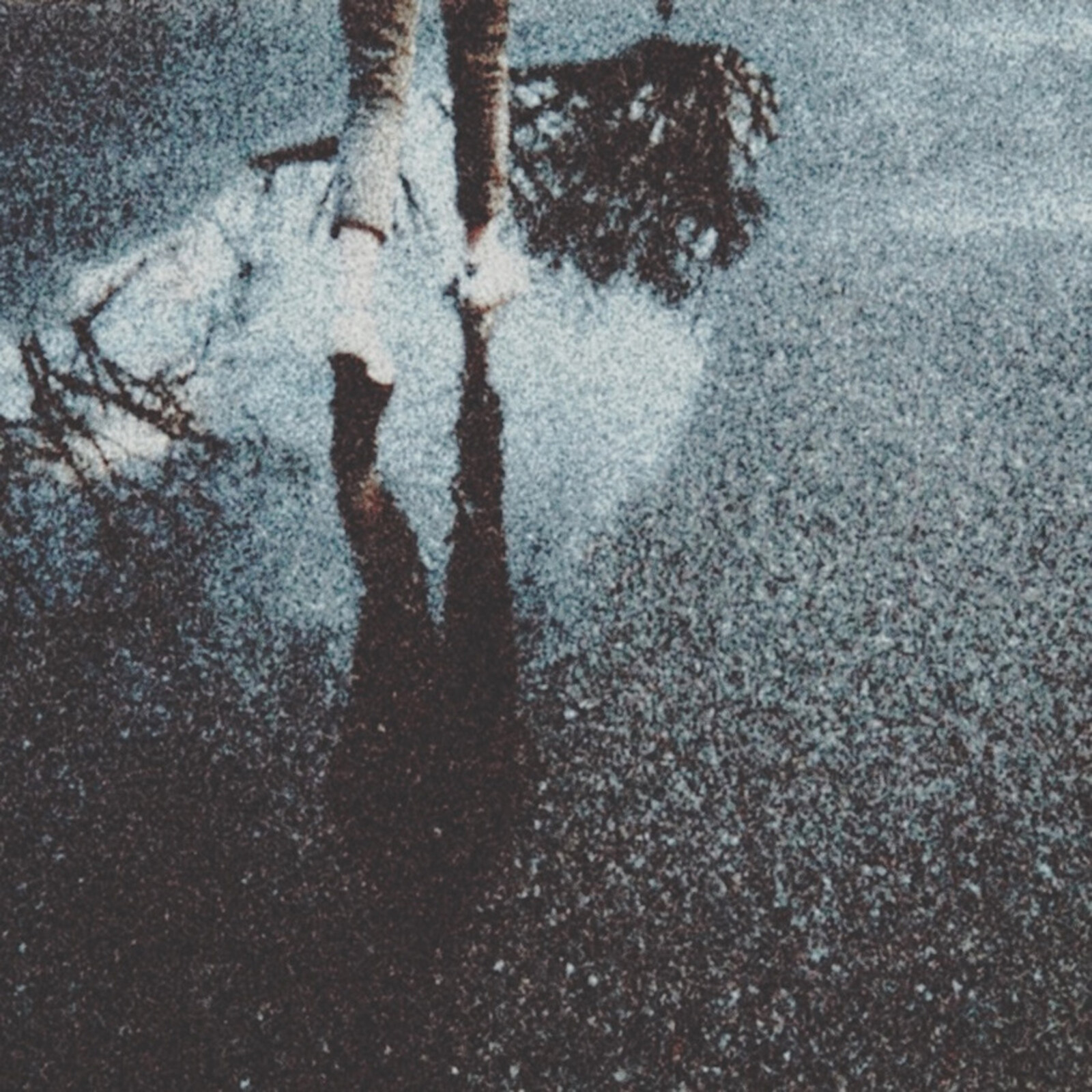 Picture of Sadness - April Sunset