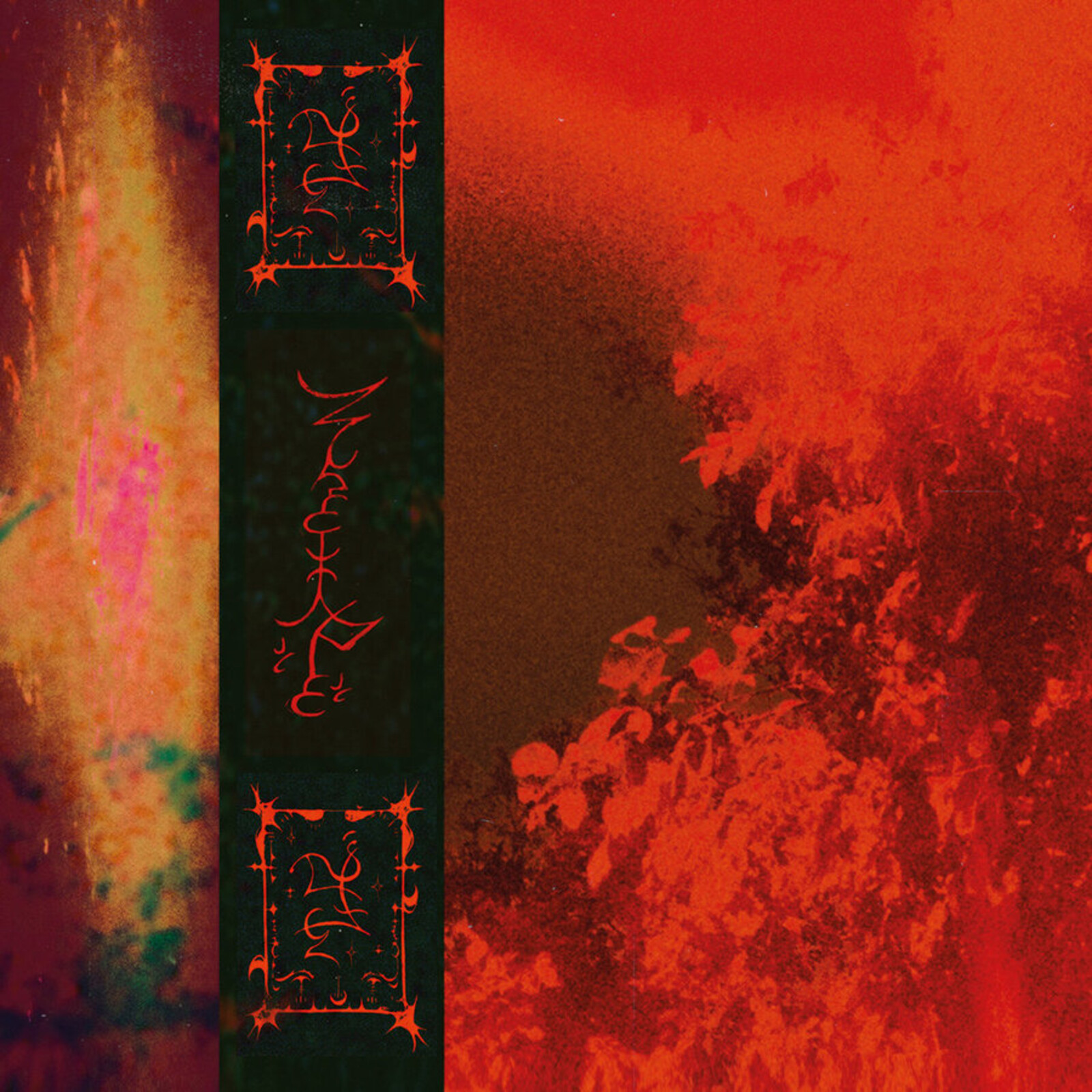 Picture of Trha - Ihum'adsejja