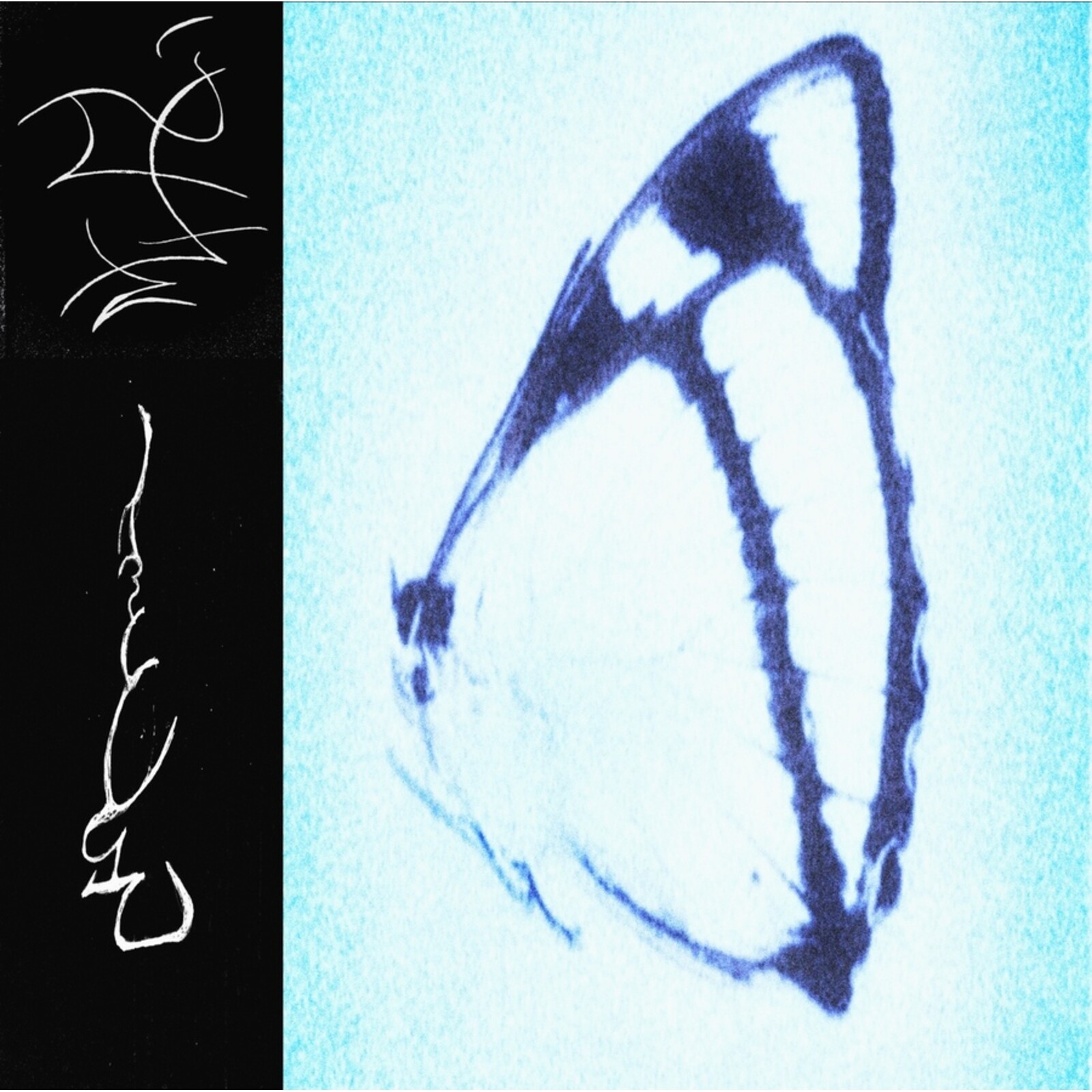 Picture of Trha - inagape