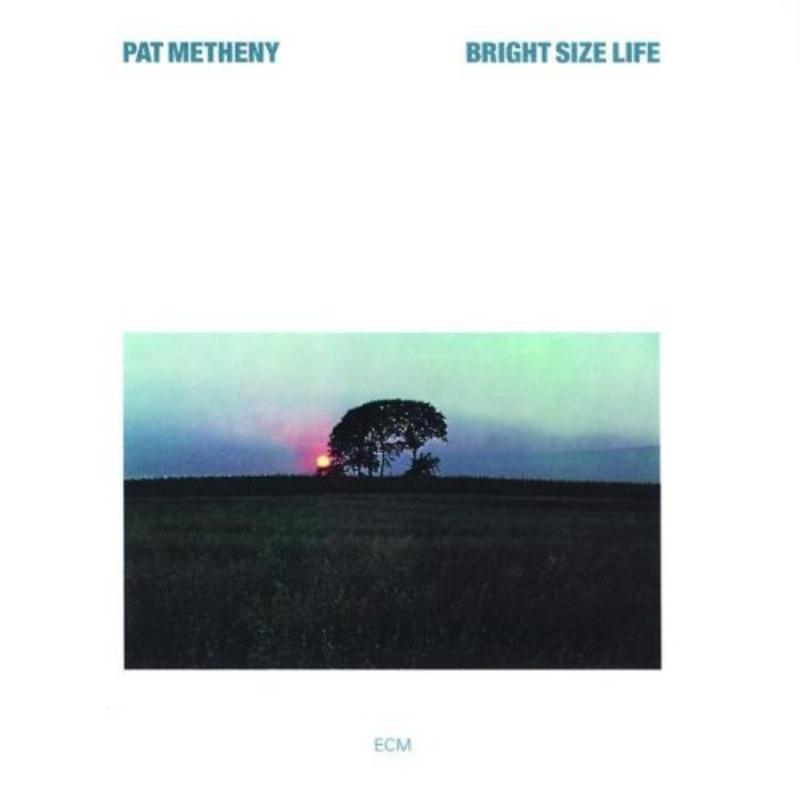 Picture of Pat Metheny - Bright Size Life