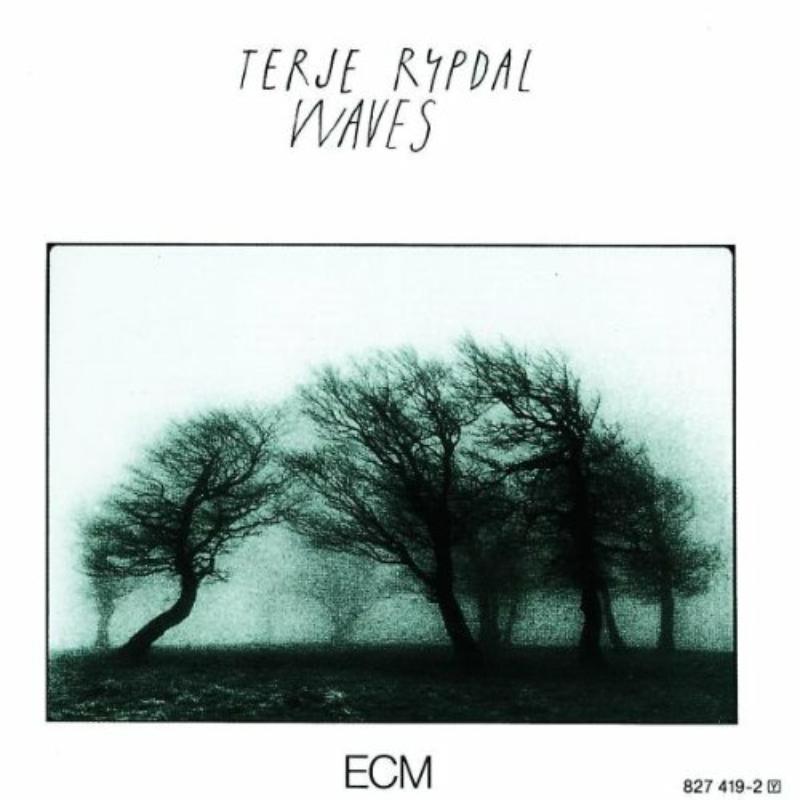 Picture of Terje Rypdal - Waves