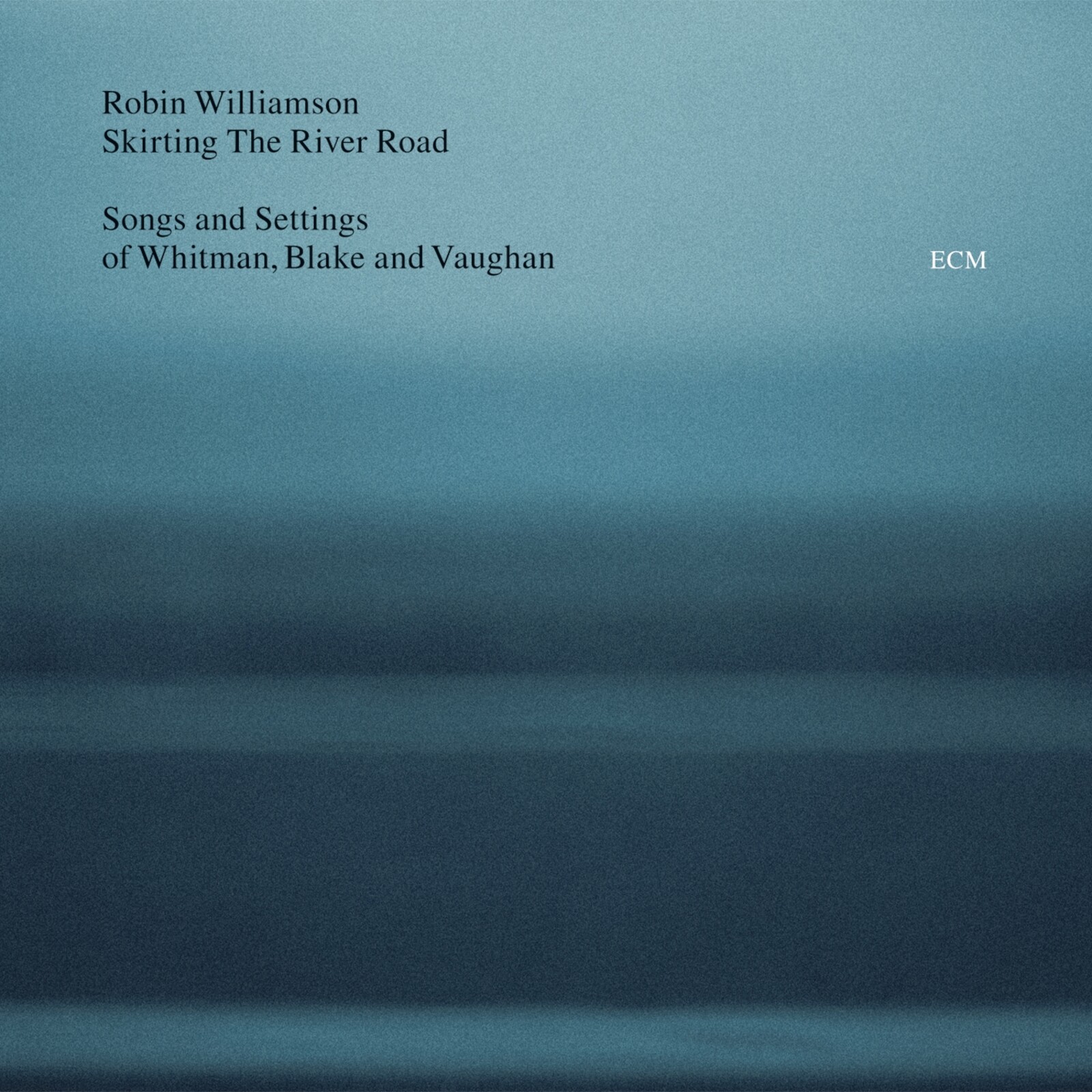 Picture of Robin Williamson - Skirting The River Road