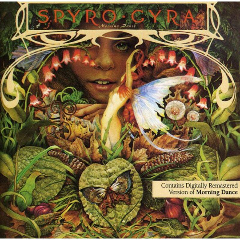 Picture of Spyro Gyra - Morning Dance