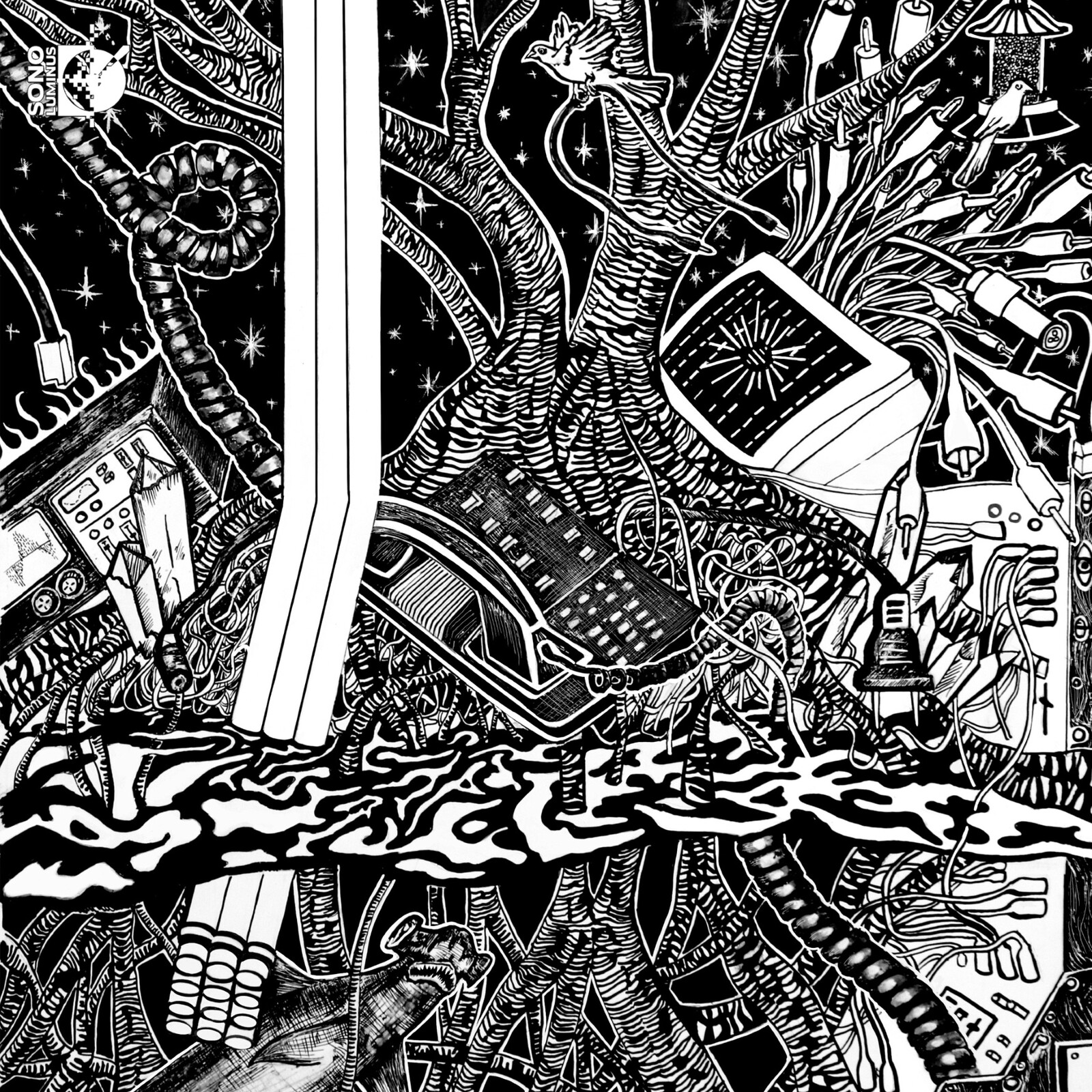 Picture of Austin Wulliman; JACK Quartet - Austin Wulliman: Escape Rites