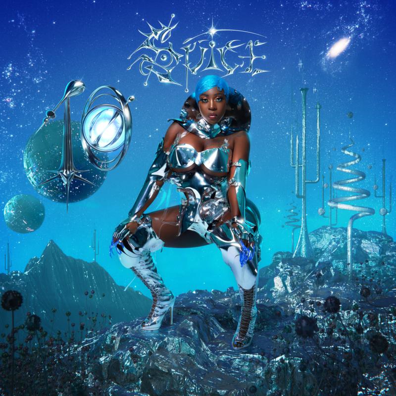 Picture of Spice - 10