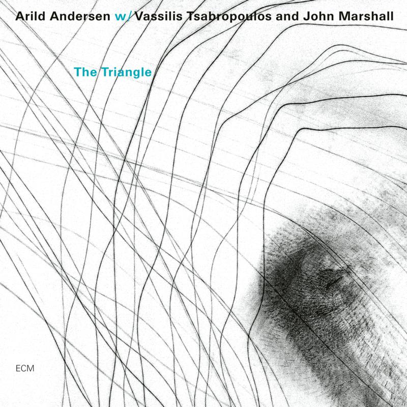 Picture of Arild Andersen Trio - The Triangle