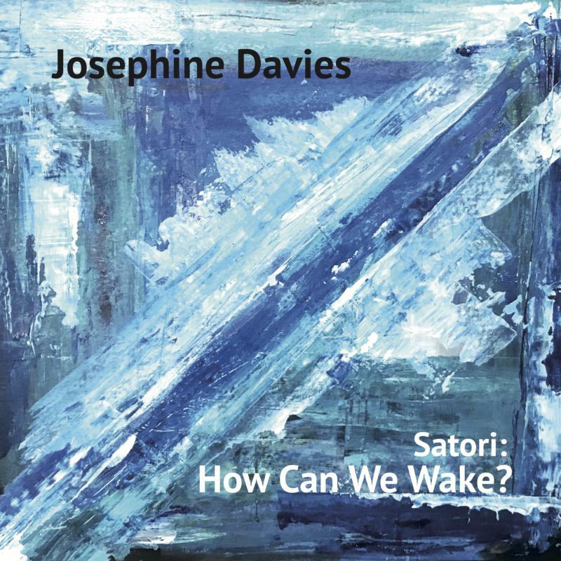 Picture of Josephine Davies - Satori: How Can We Wake?