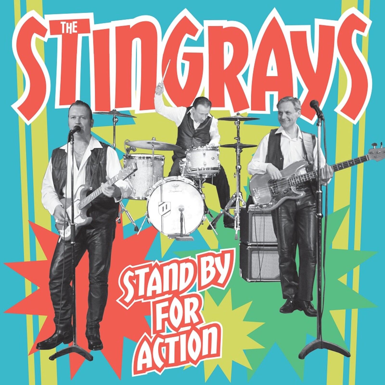 Picture of The Stingrays - Stand For Action