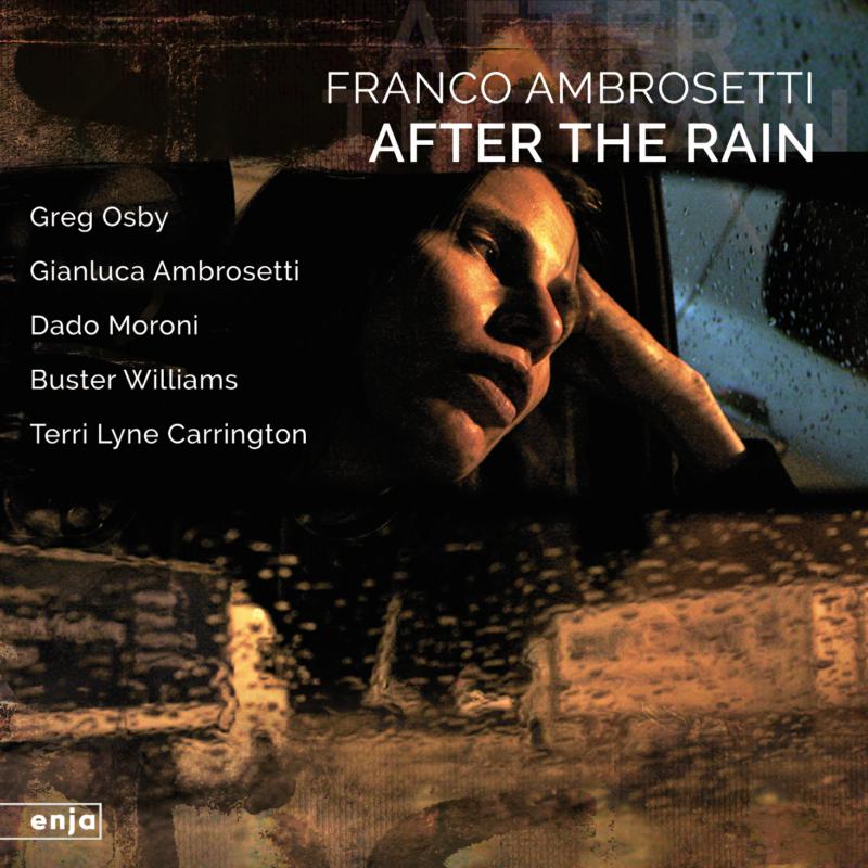 Picture of Franco Ambrosetti - After the Rain