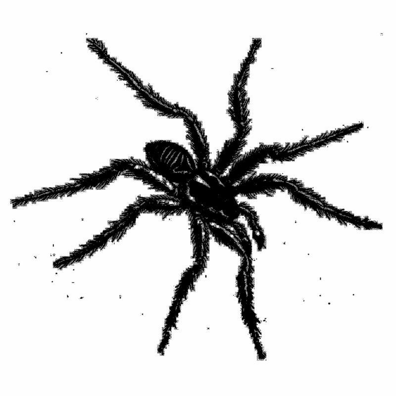 Picture of Various Artists - Tarantismo: Odyssey of an Italian Ritual