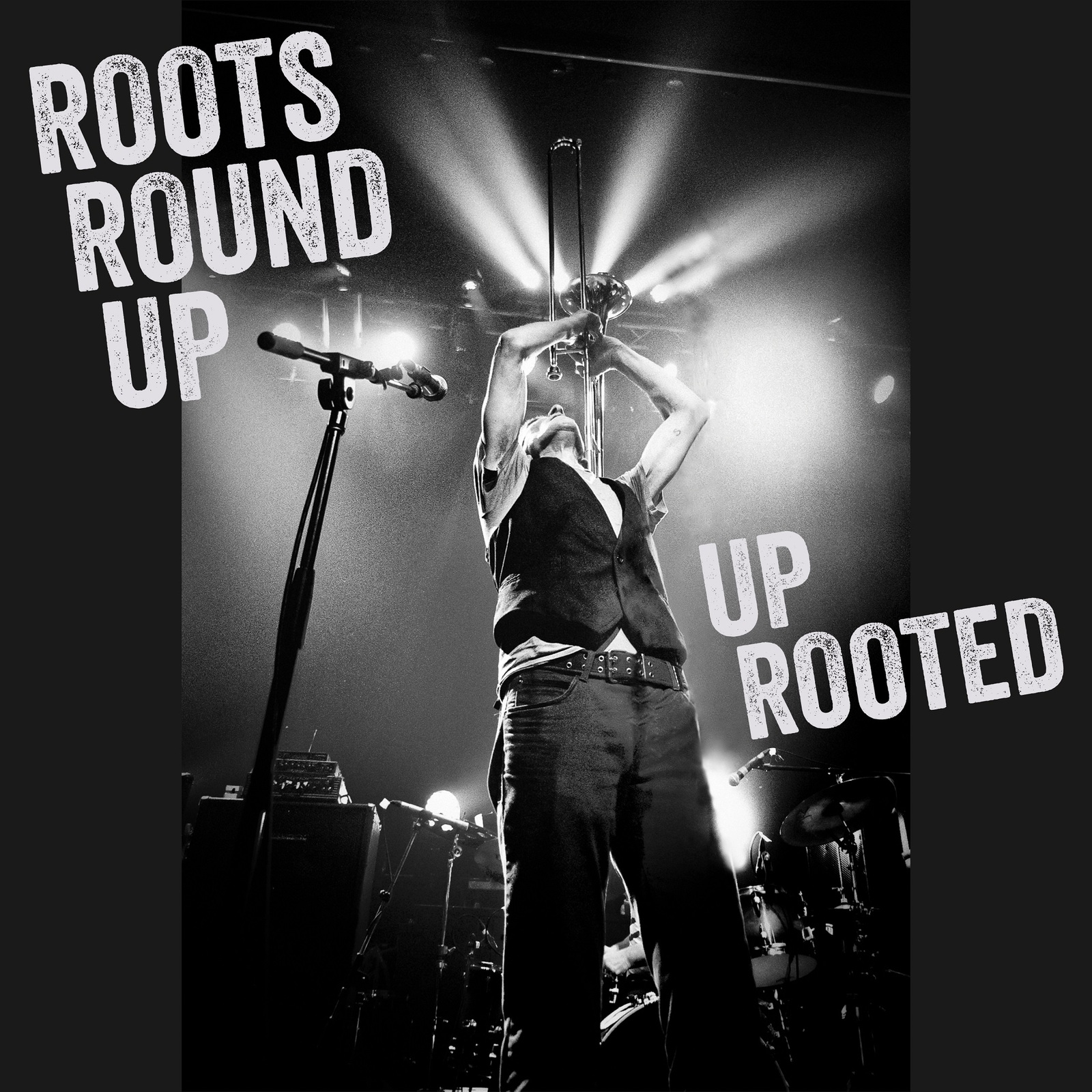 Picture of Roots Round Up - Up Rooted