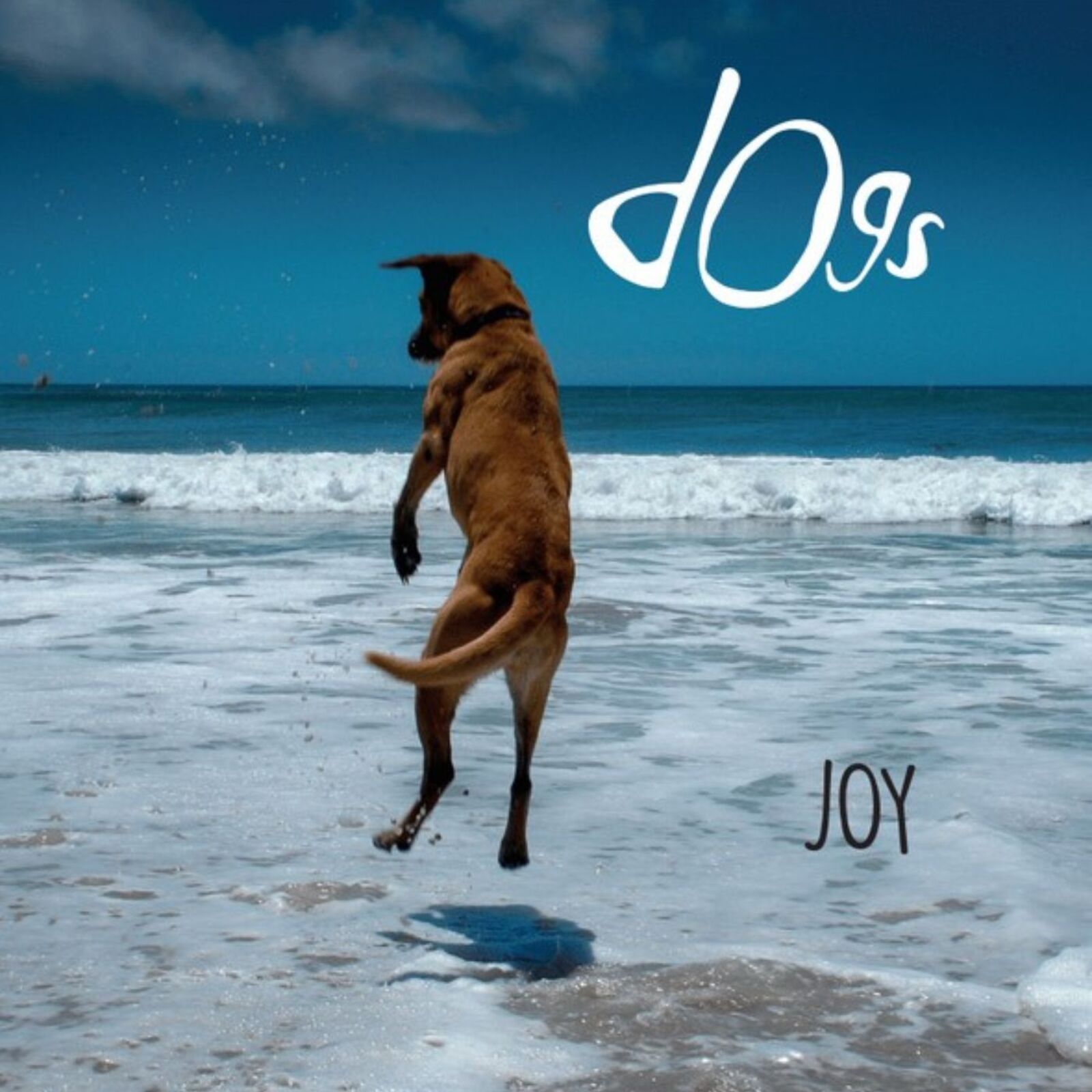 Picture of Dogs - Joy