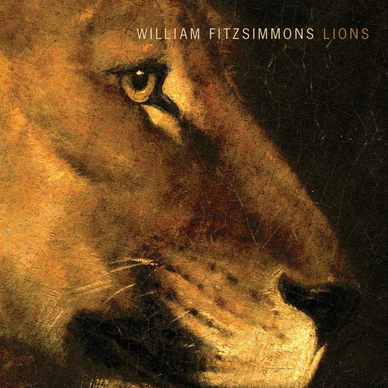 Picture of William Fitzsimmons - Lions