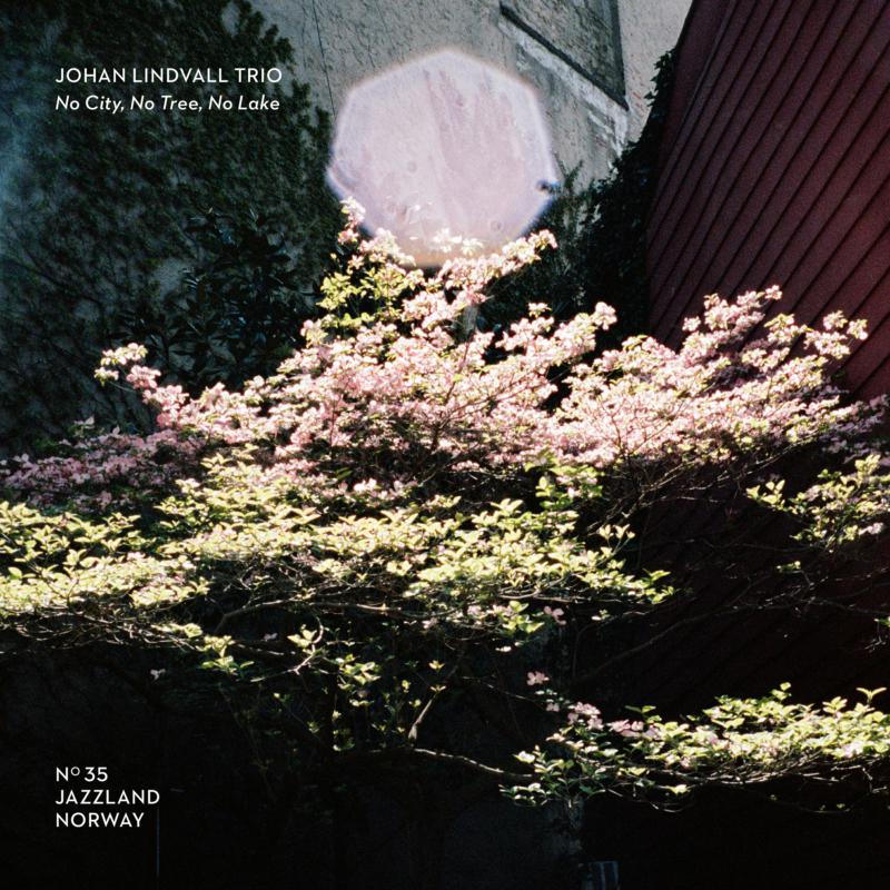 Picture of Johan Lindvall Trio - No City, No Trees, No Lake