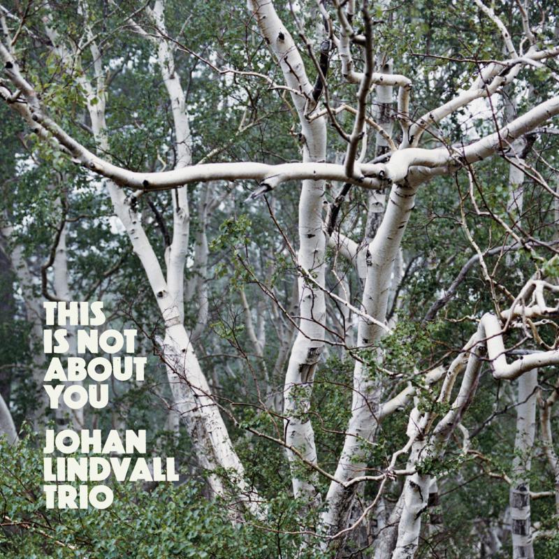 Picture of Johan Lindvall Trio - This Is Not About You