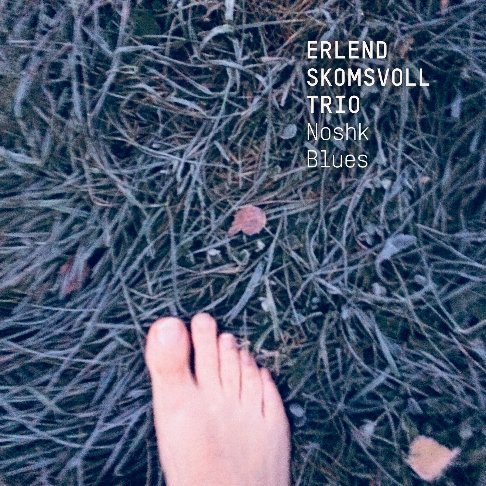 Picture of Erlend Skomsvoll Trio - Noshk Blues