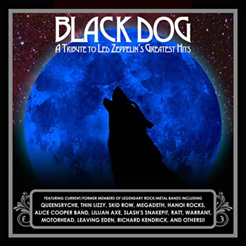 Picture of Various Artists - Black Dog: A Tribute To Led Zeppelin'S Greatest Hits