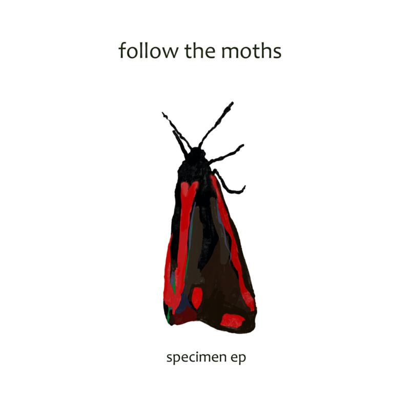 Picture of Follow The Moths - Specimen EP