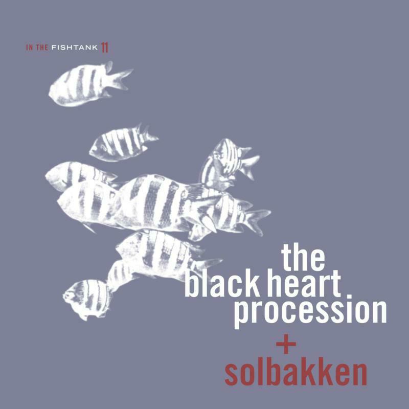 Picture of Black Heart Procession / Solbakken - In The Fishtank